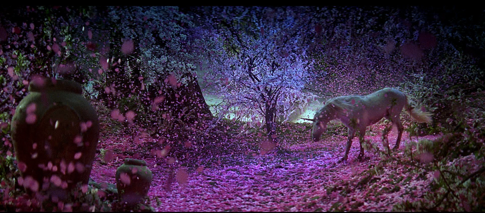 A young Tom Cruise frolics in a glade.